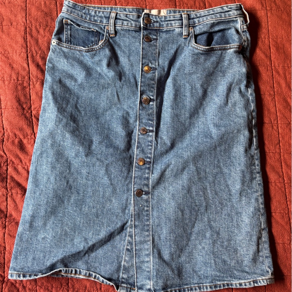 Everlane Blue Denim Skirt